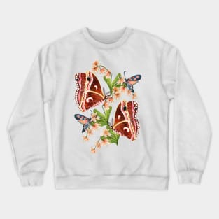 Silk Moth Crewneck Sweatshirt